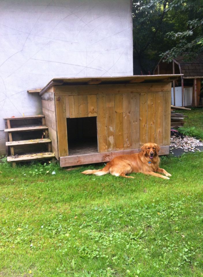Dog house off the ground clearance