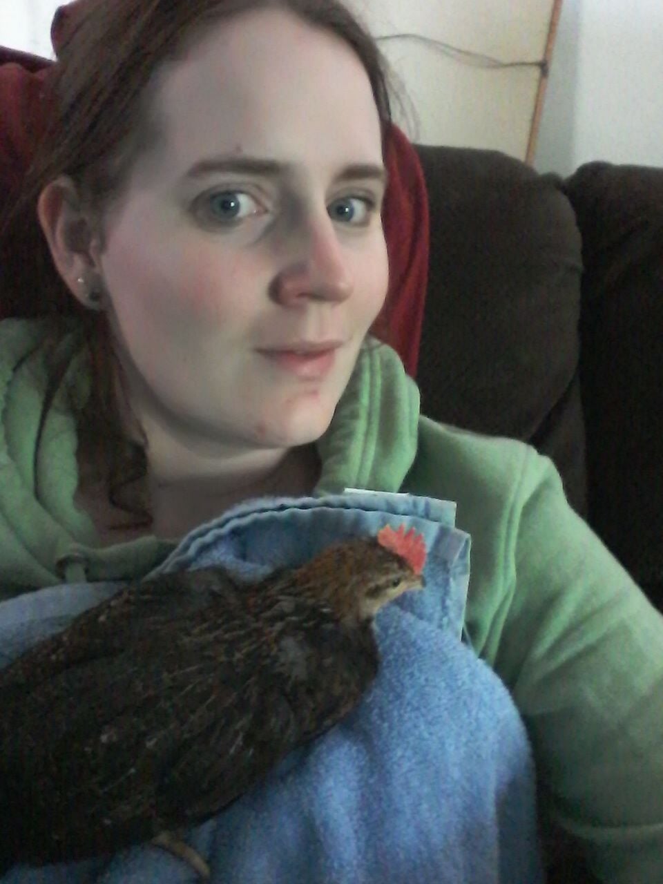 Rooster as a pet? BackYard Chickens Learn How to Raise Chickens