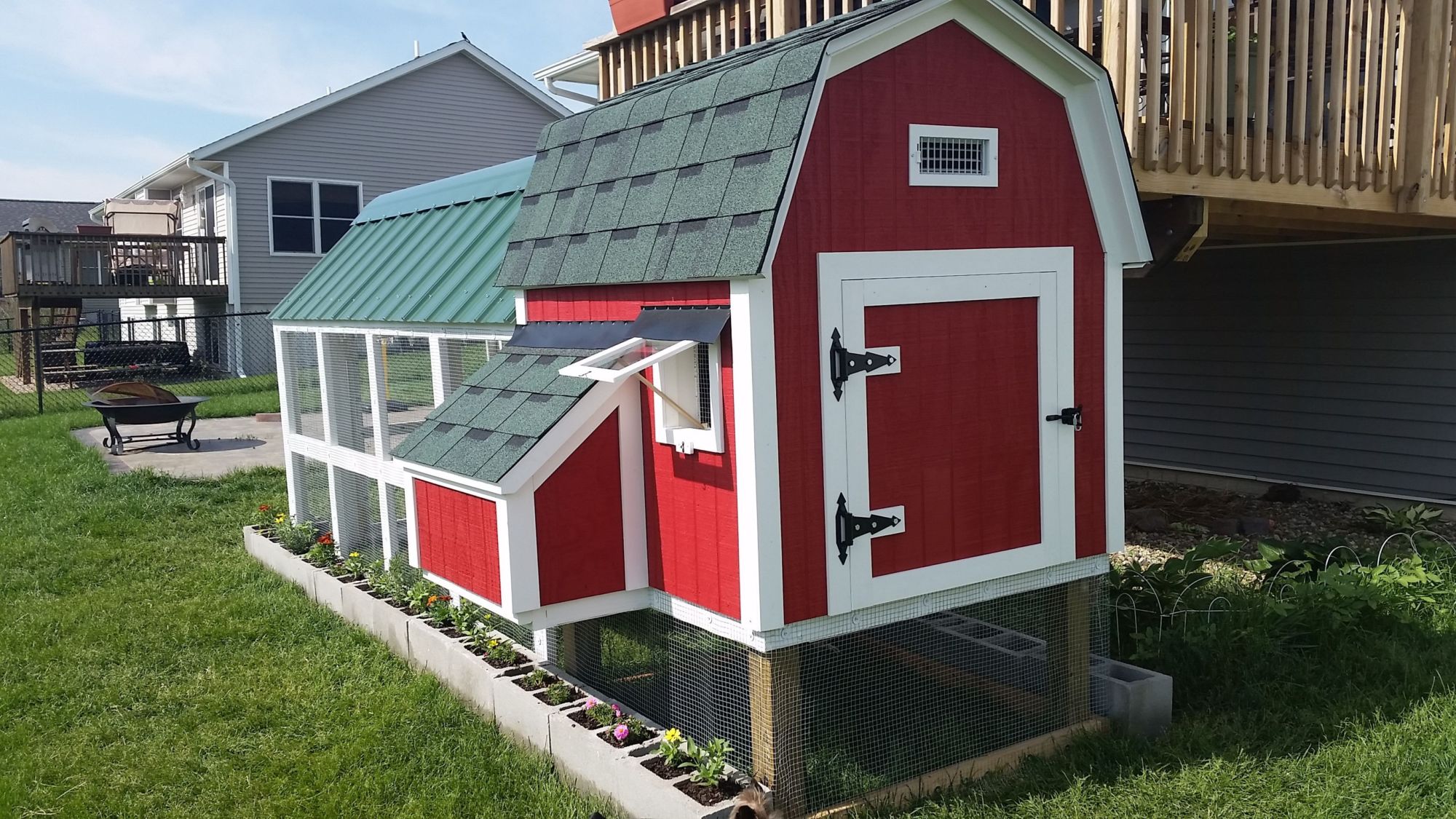Barn Style Coop With 4x10 Run In A Suburban Neighborhood BackYard Chickens Learn How To