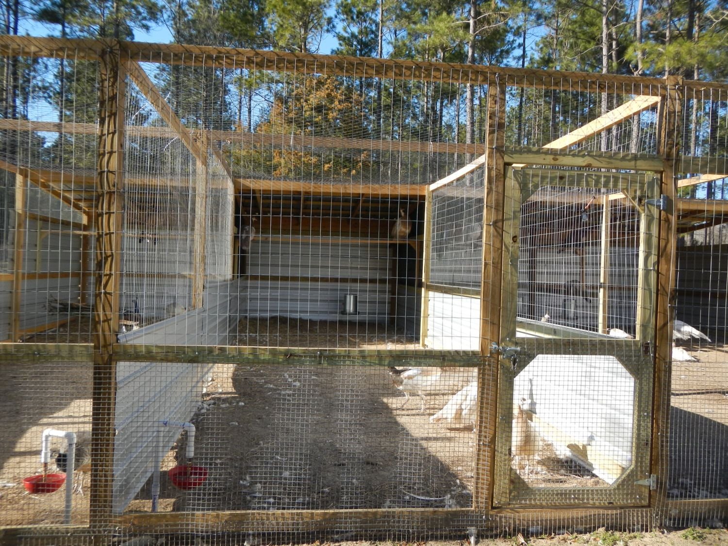 Any small peafowl pens ideas? BackYard Chickens