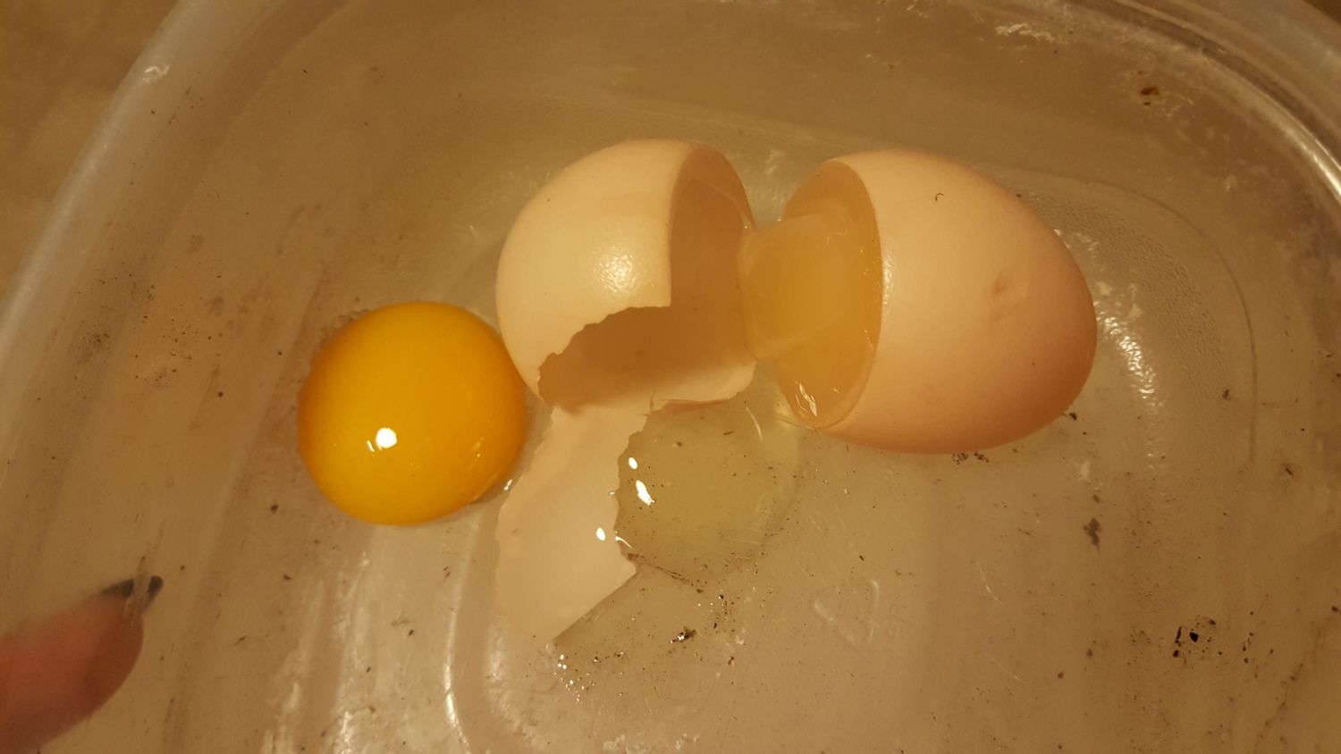 Multiple Soft Eggs At A Time BackYard Chickens Learn How To Raise