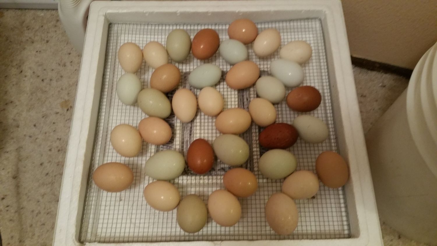 700