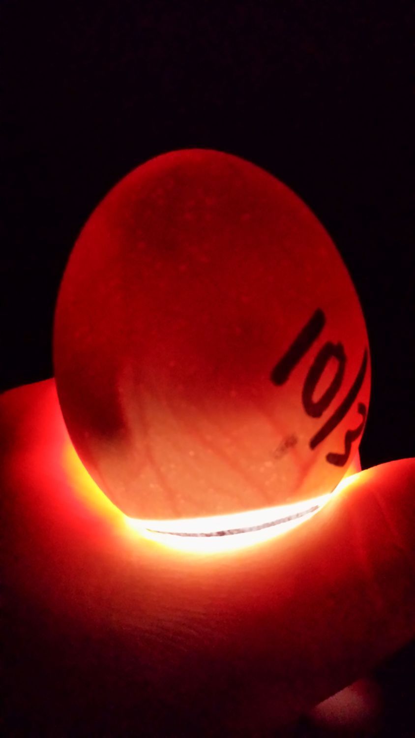700