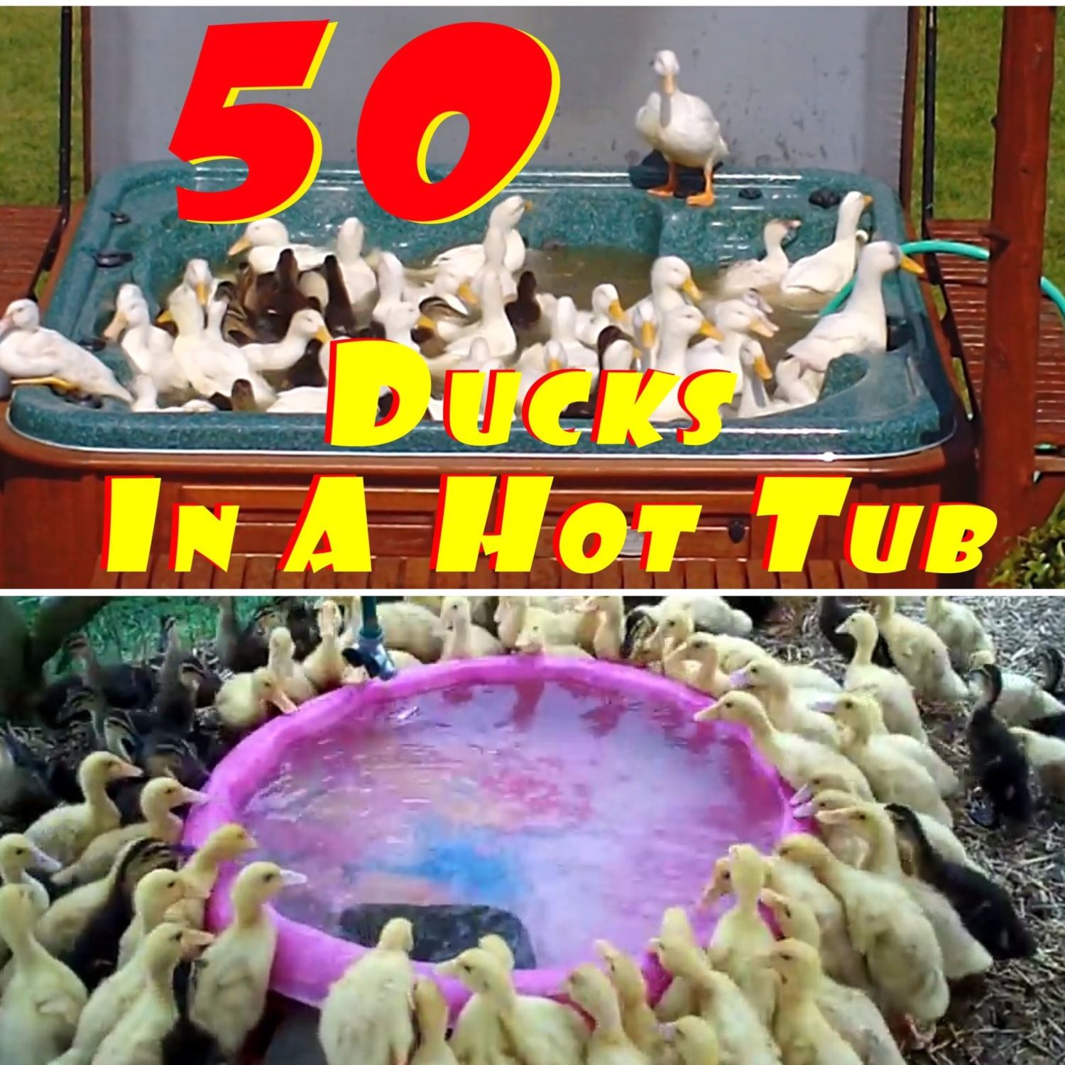 400