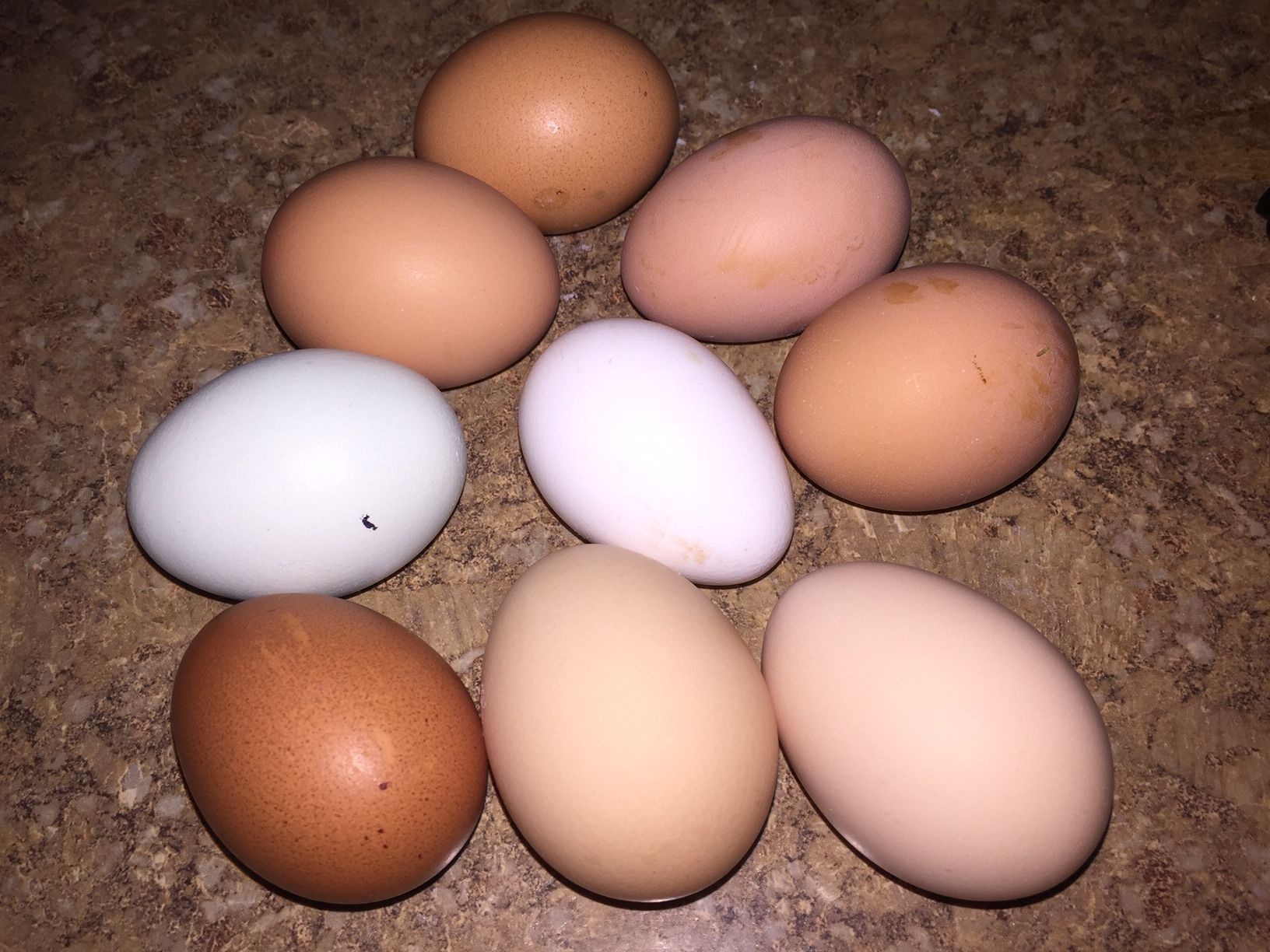 700