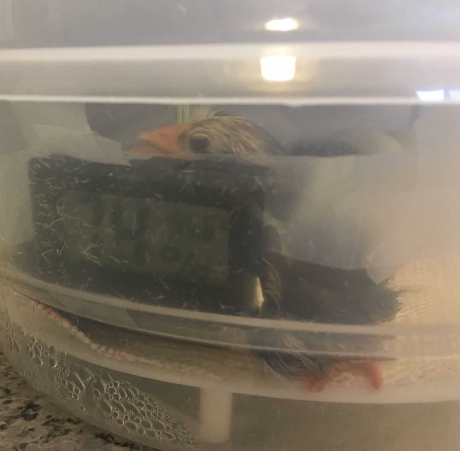 400