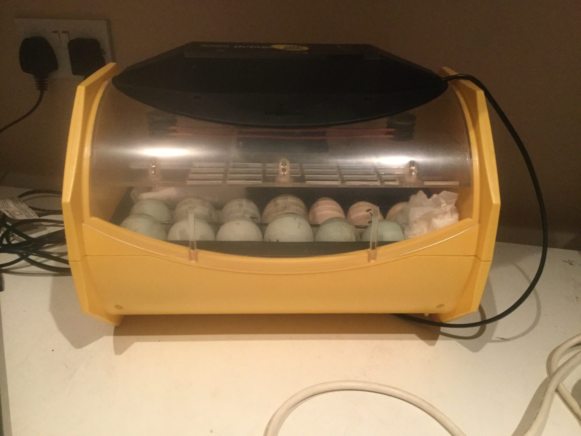 700
