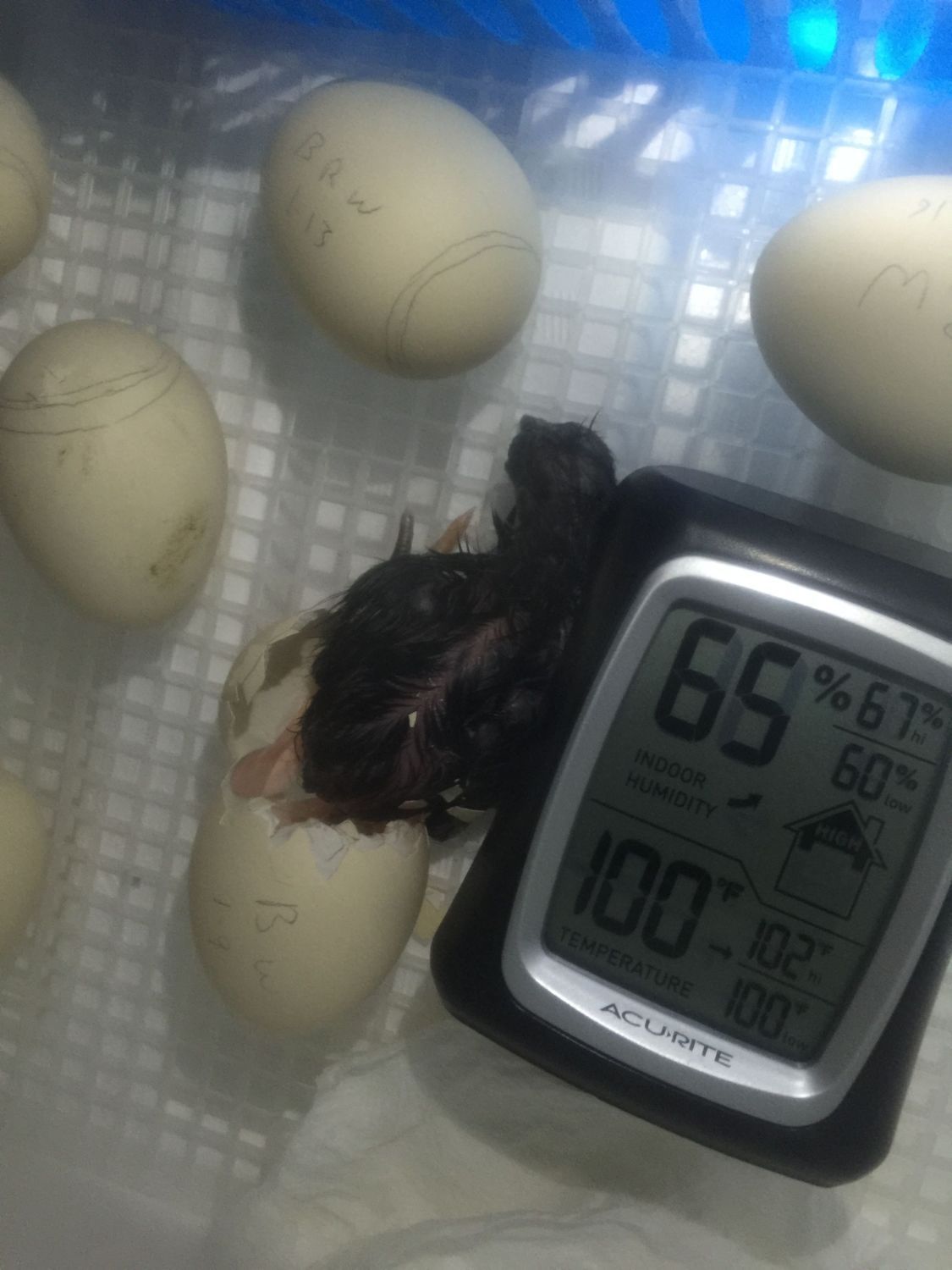 400