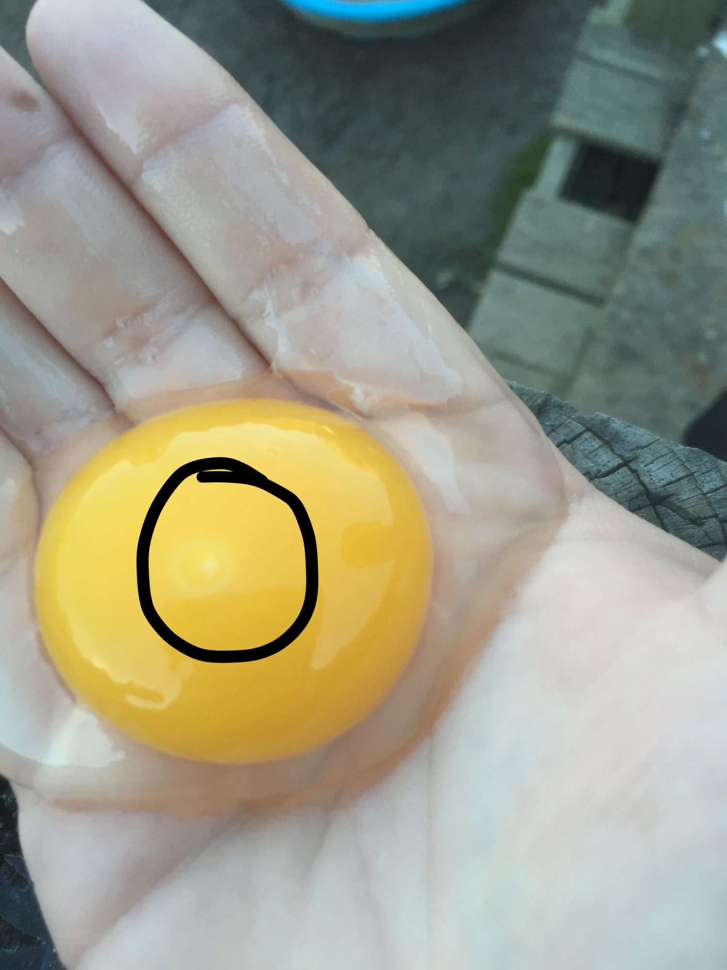700