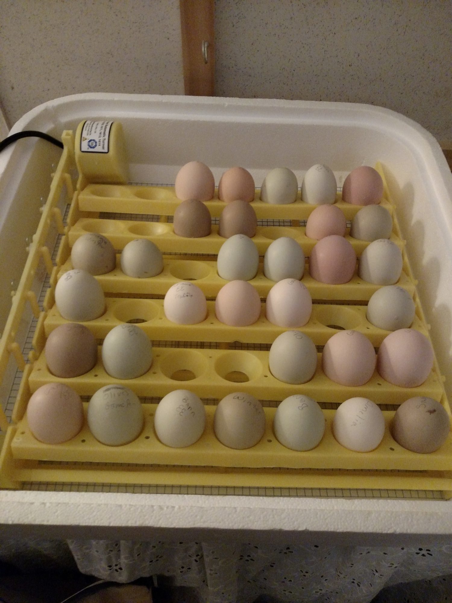 700
