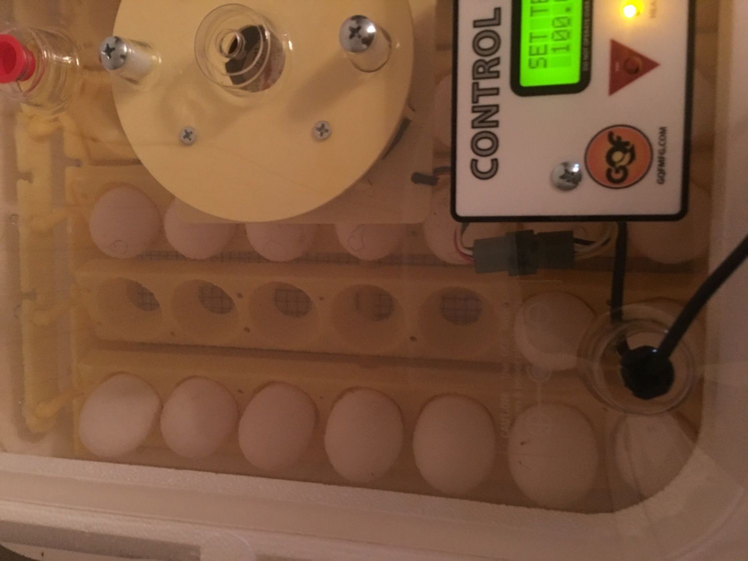 700