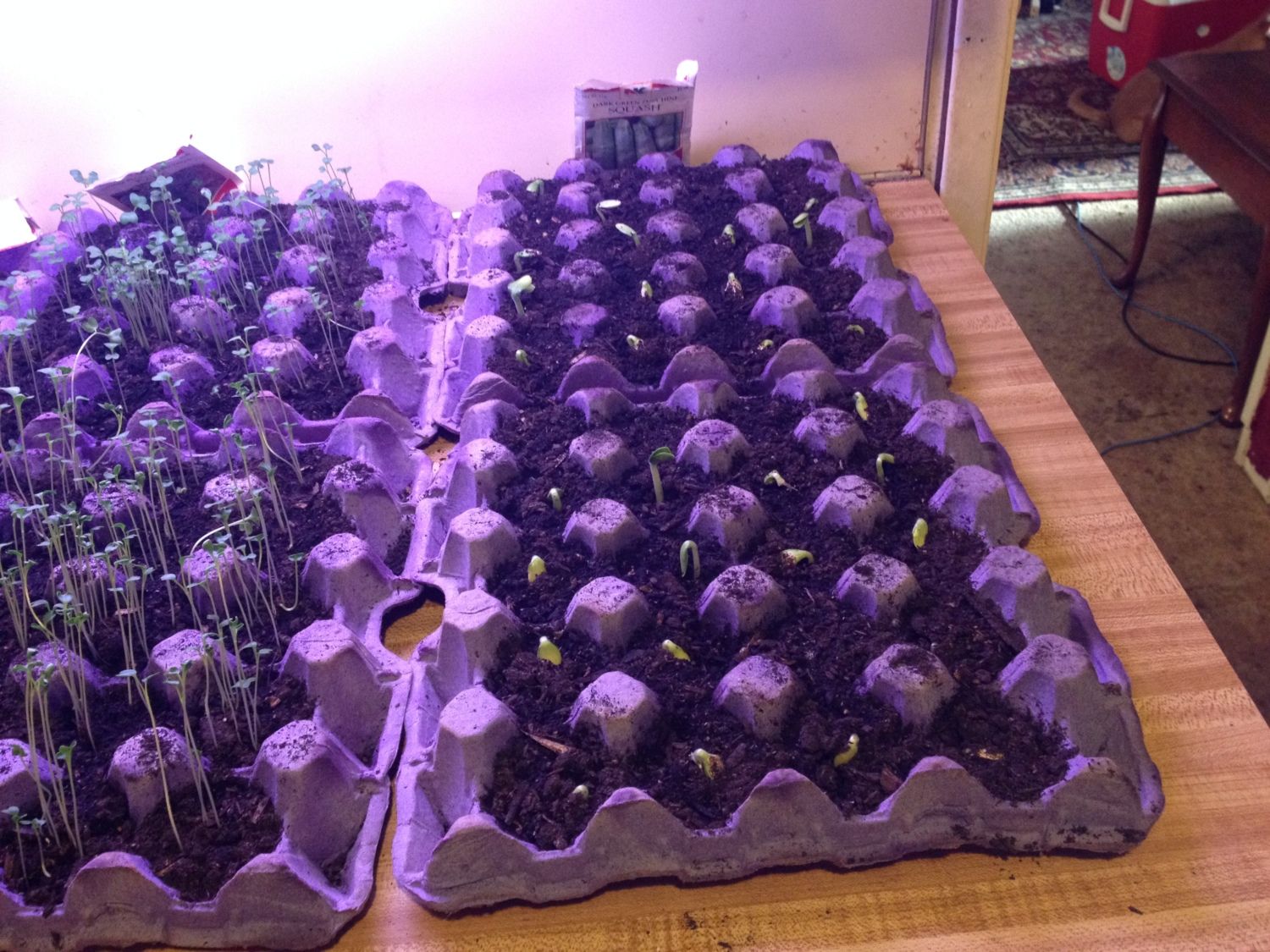 700