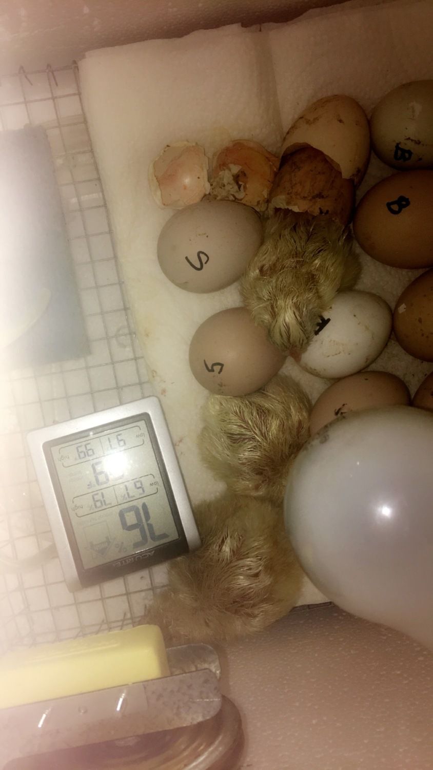 400
