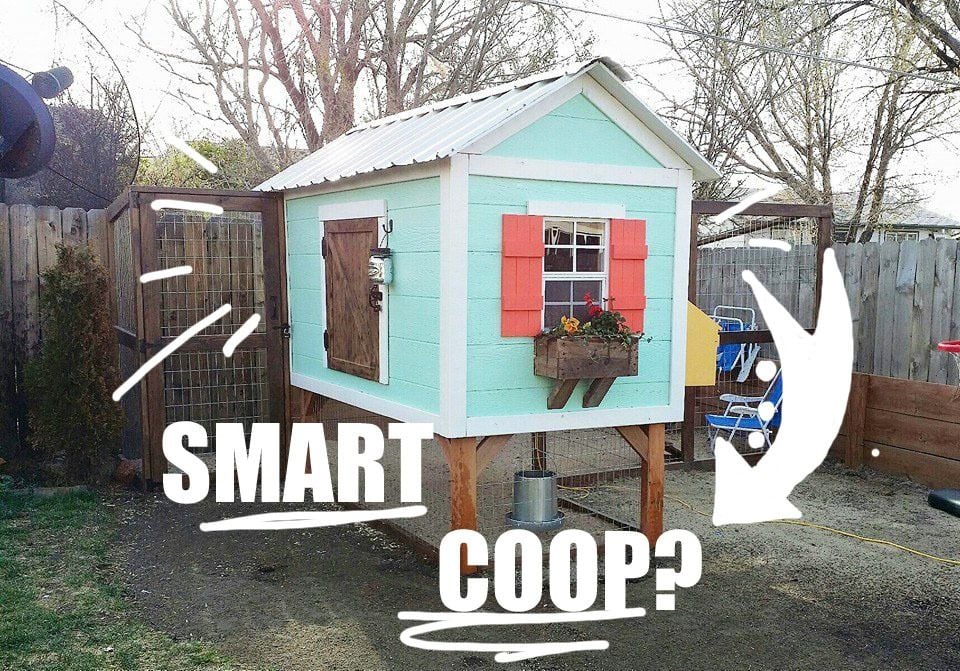 Smart Chicken Coop Monitoring & Control System! We NEED your input!!