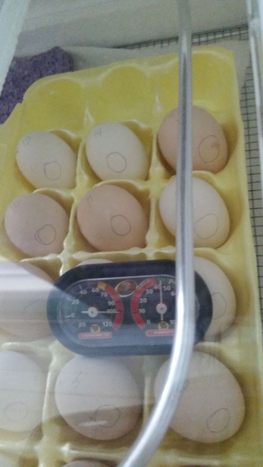 400