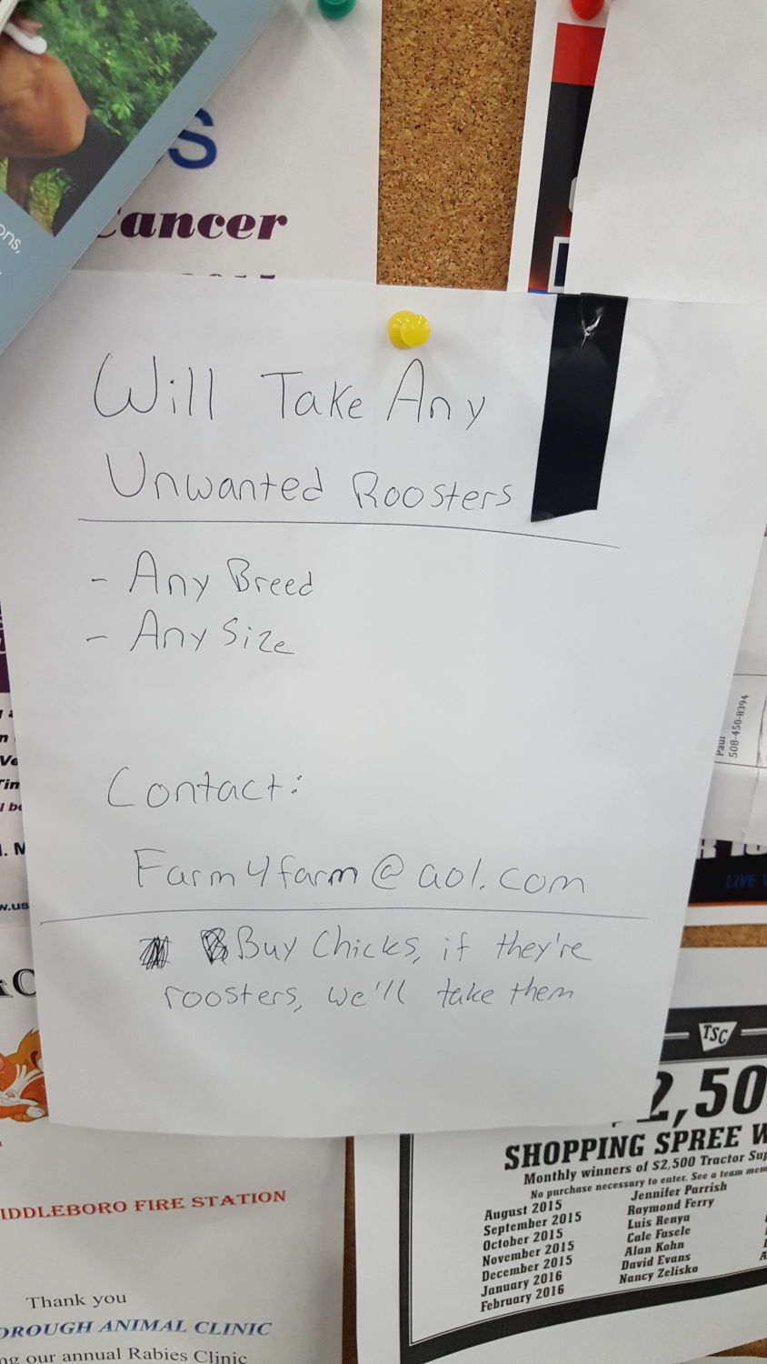 400