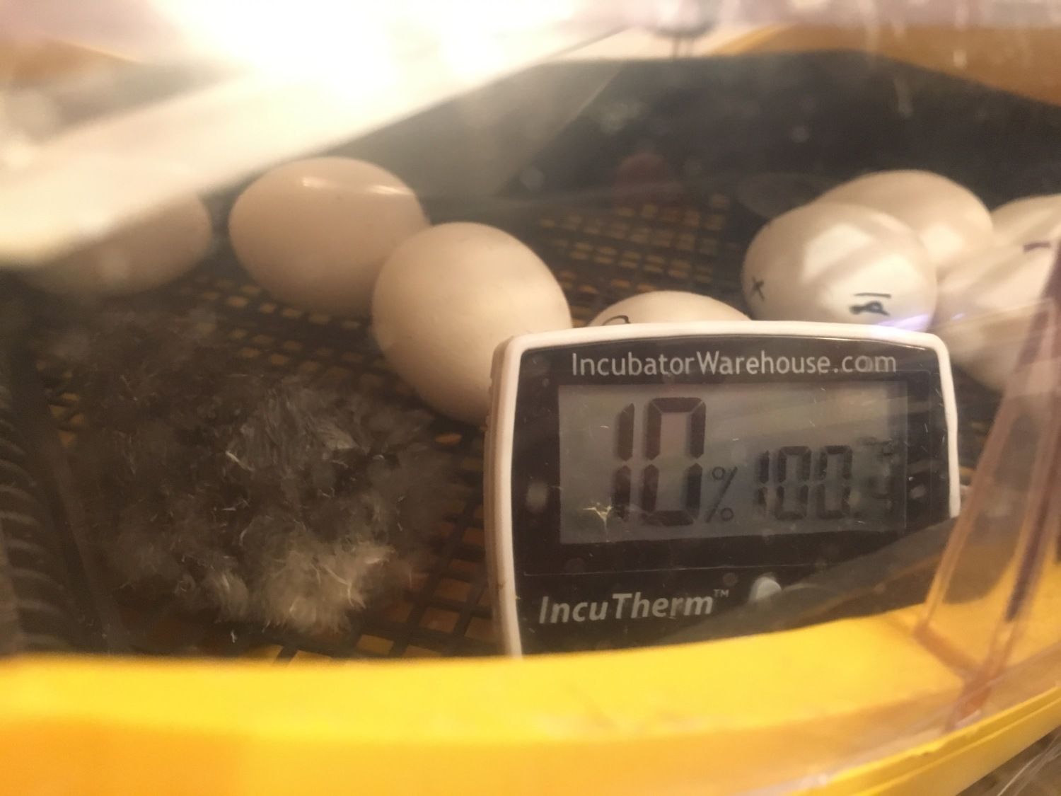 400