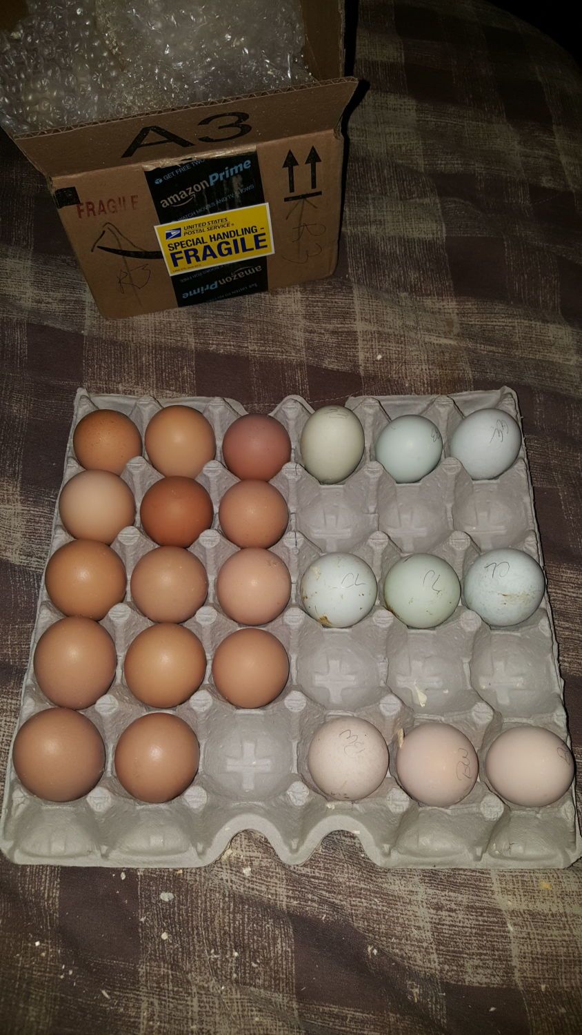 400