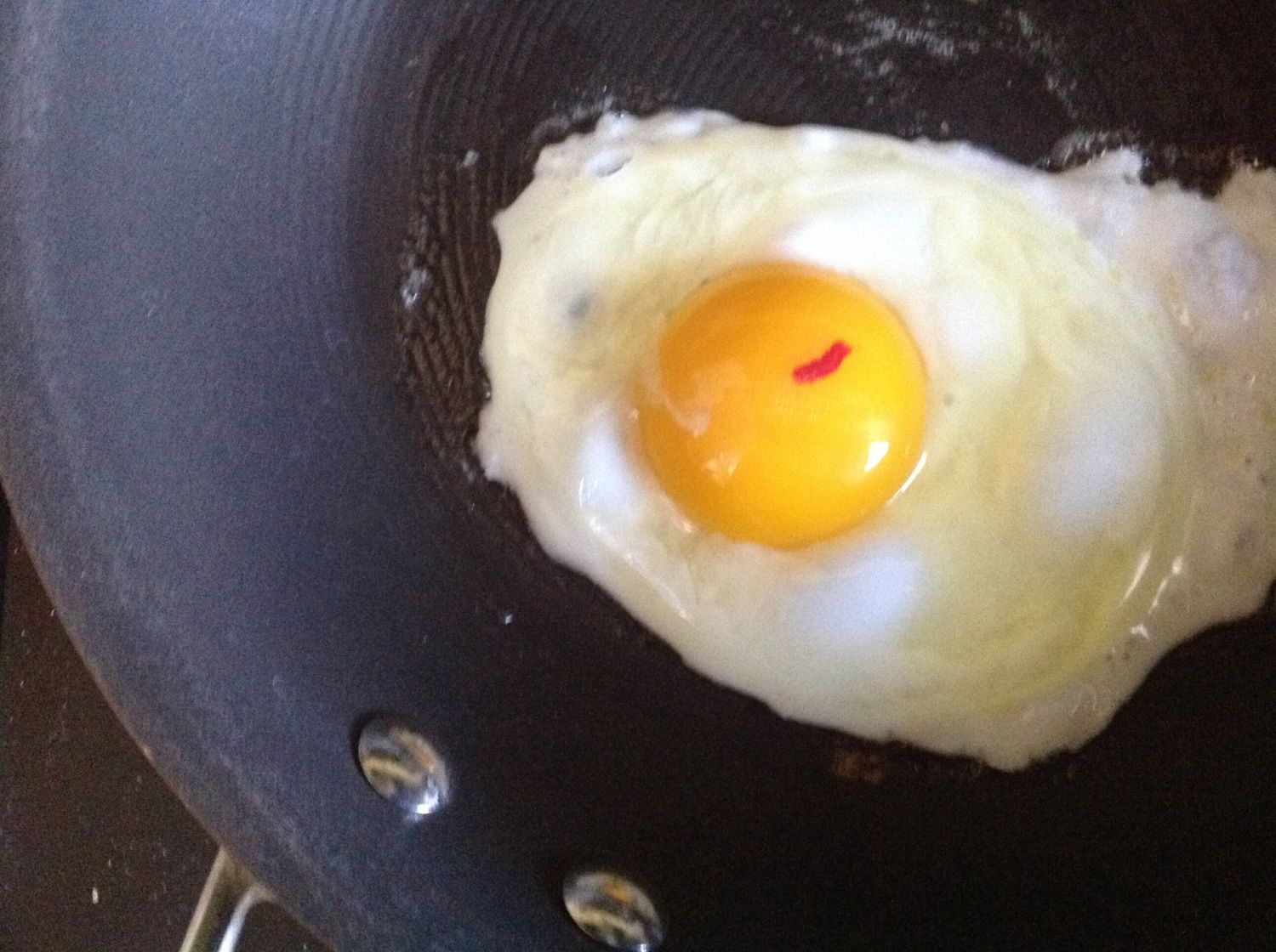 Blood in egg?! BackYard Chickens Learn How to Raise Chickens
