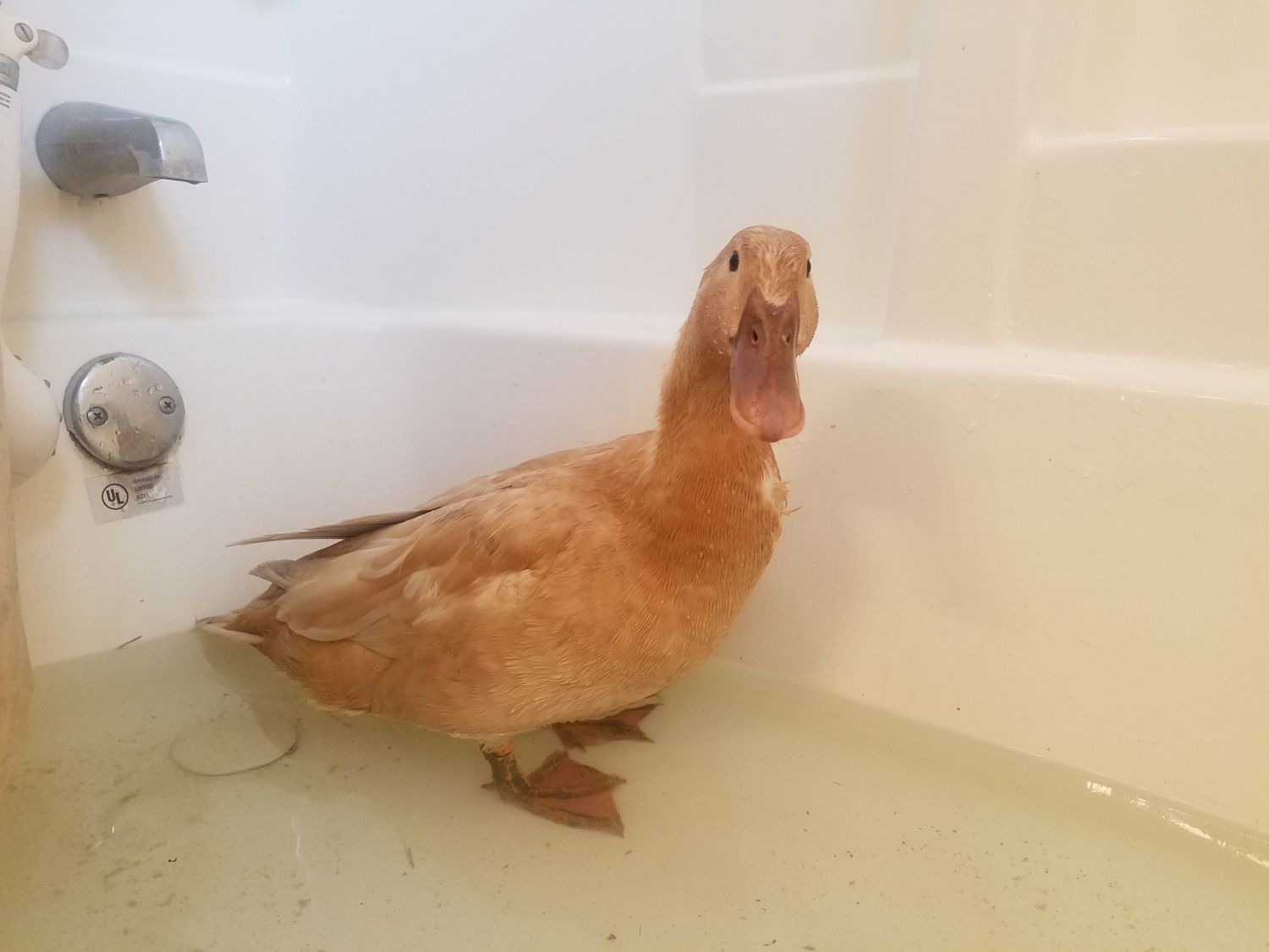 700