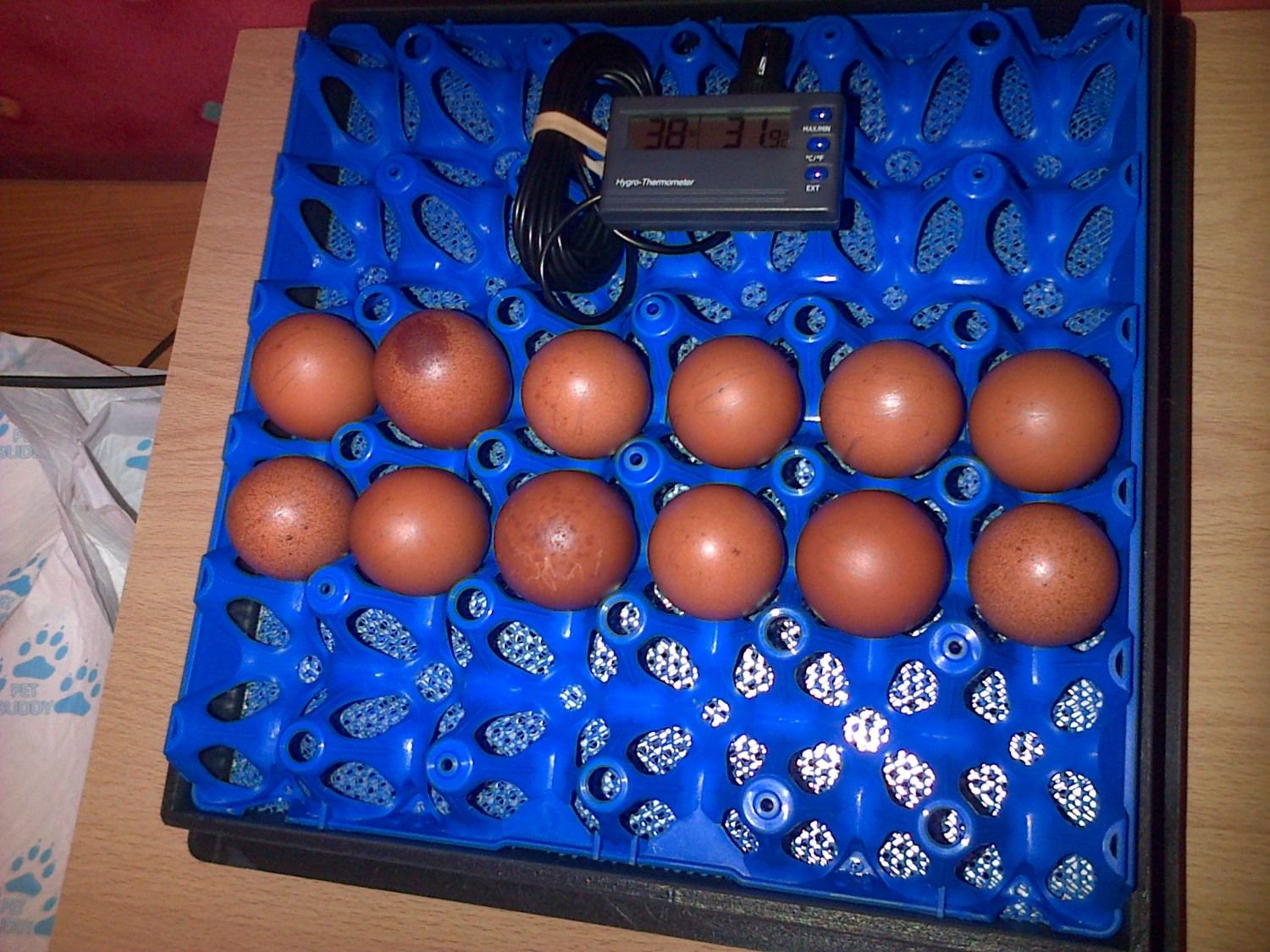 400