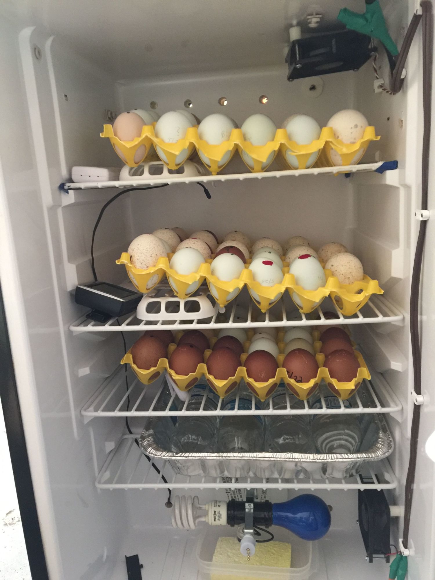 400