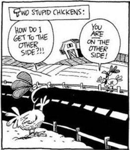 You Crack Me Up Funny Chicken Jokes And Stories Backyard Chickens Learn How To Raise Chickens