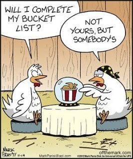 You Crack Me Up! Funny Chicken Jokes and Stories | BackYard Chickens -  Learn How to Raise Chickens