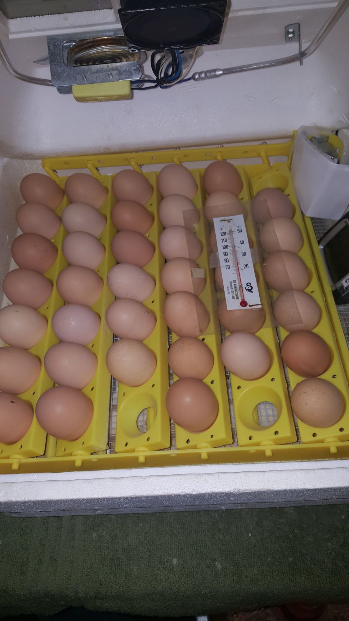 400