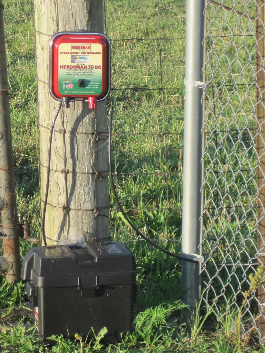 A Treatise on Electric Fences for Poultry BackYard Chickens