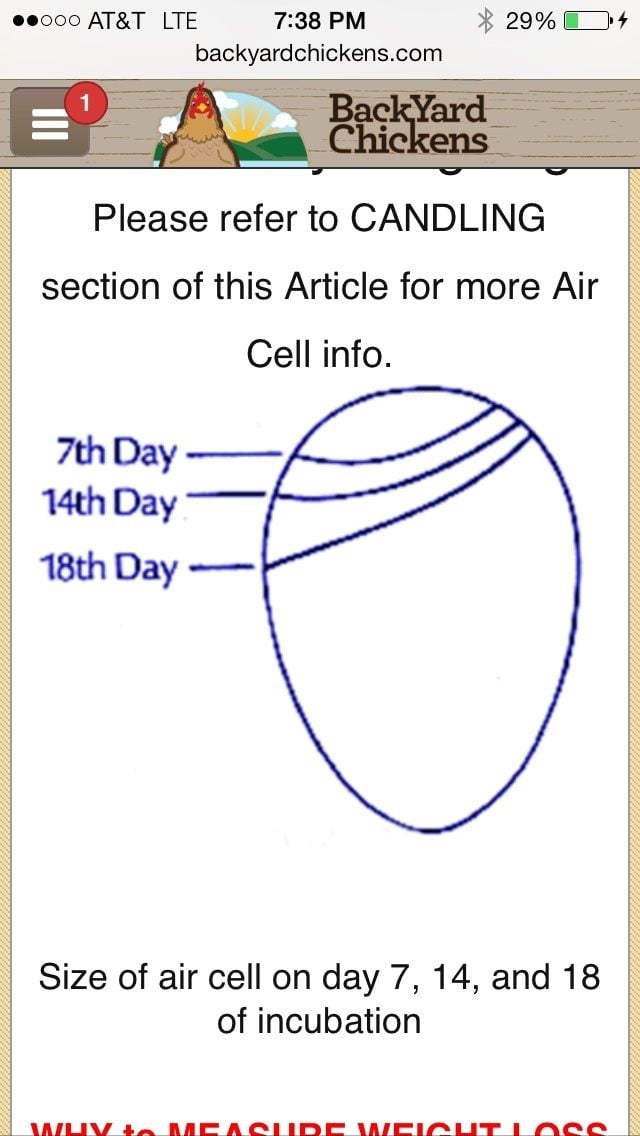 400