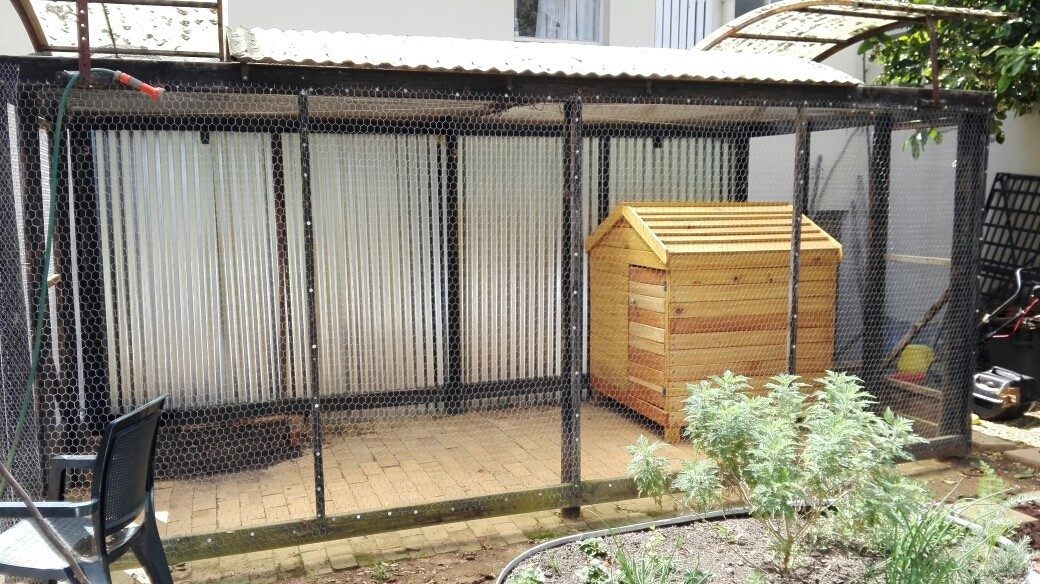 Deep Litter Method Backyard Chickens