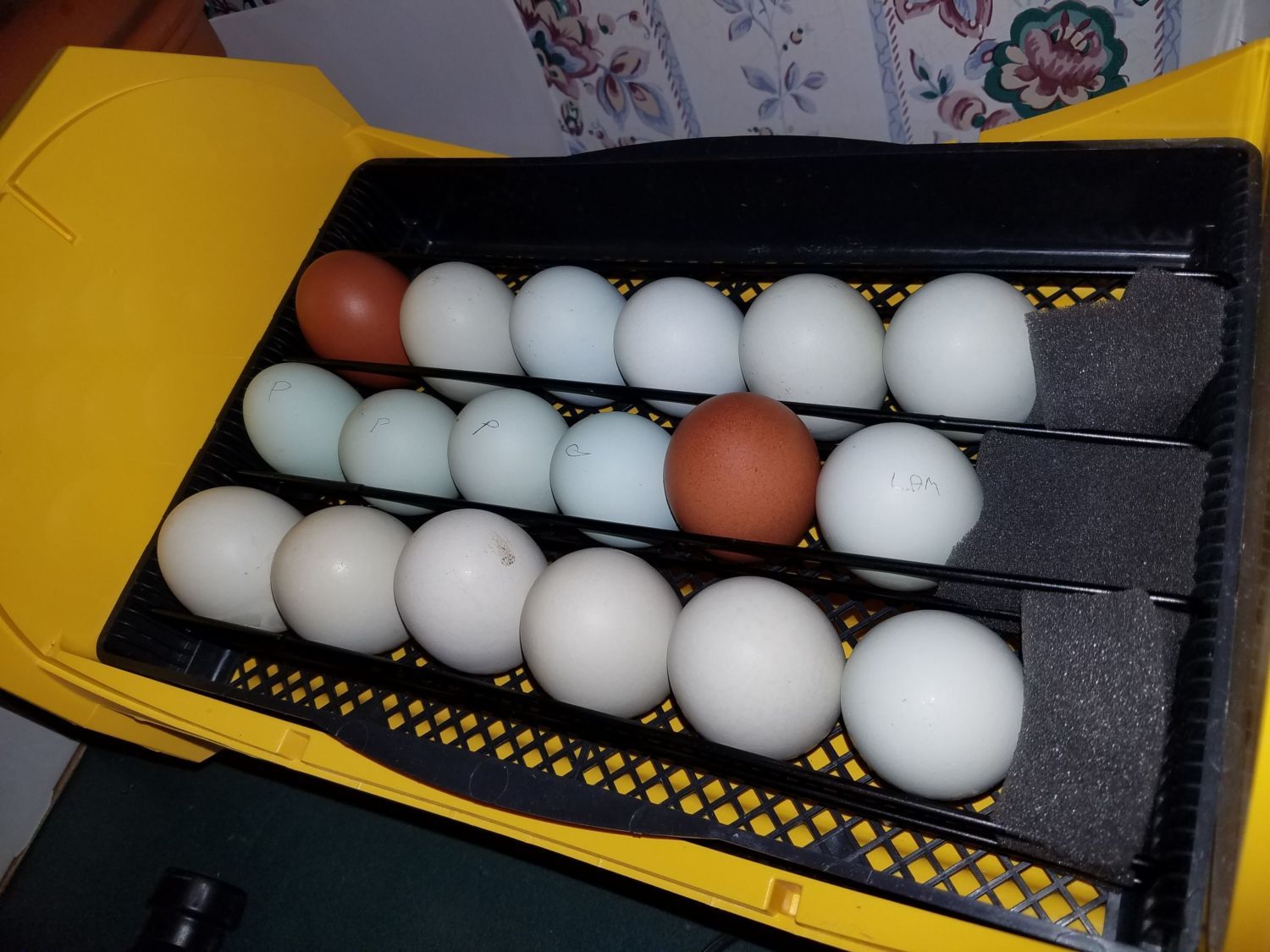 400