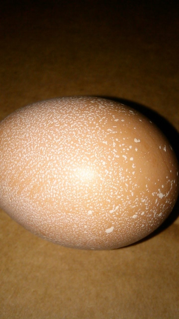 700