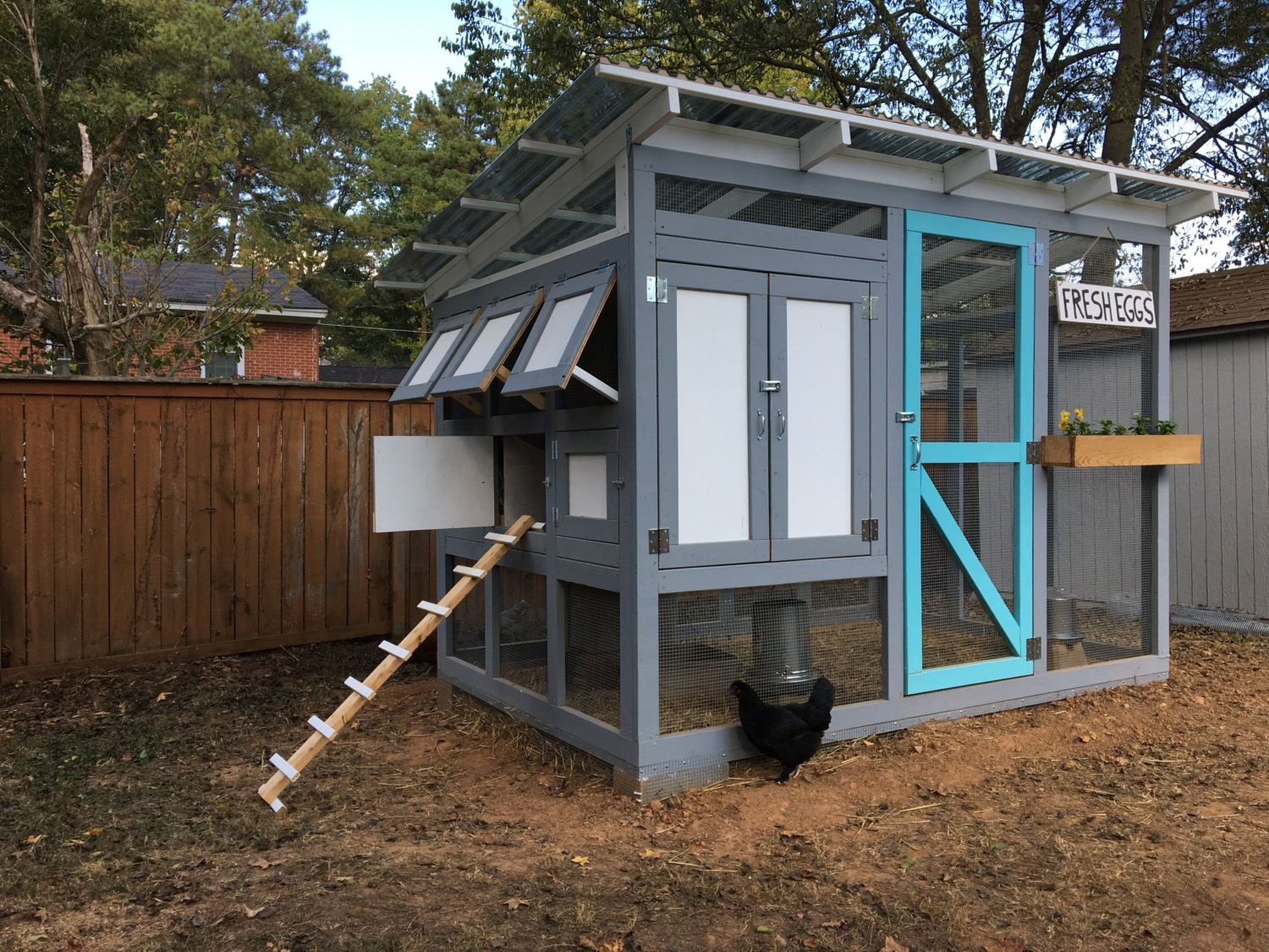 Atlanta, Georgia Urban Chicken Coop! | BackYard Chickens