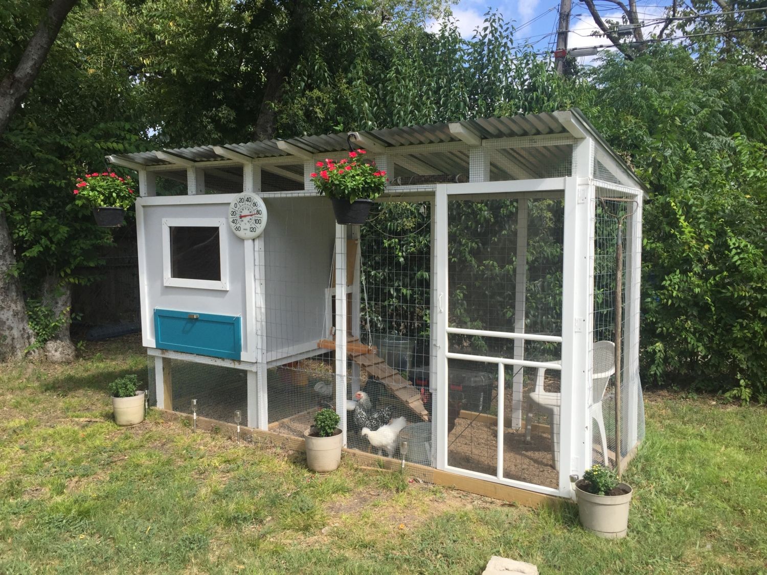 Dallas Urban Coop Single Slope Design Backyard Chickens