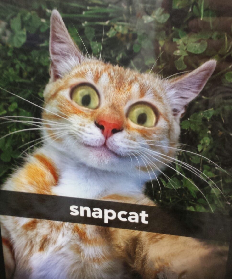 400