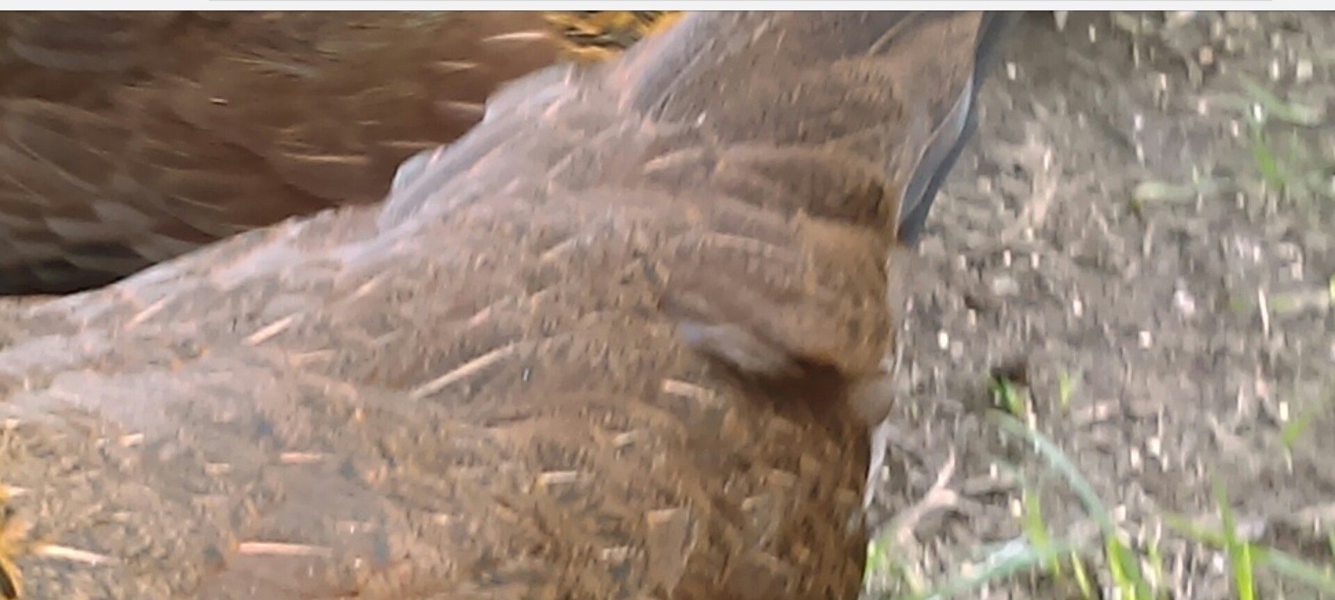 700