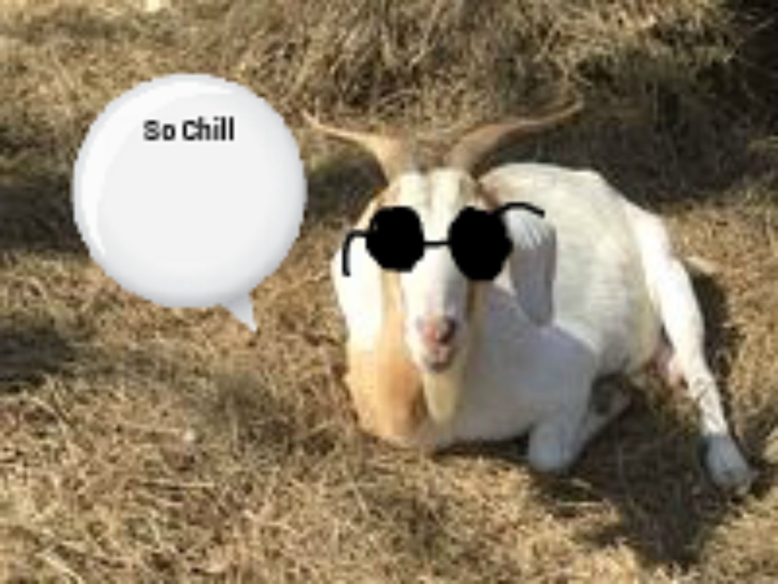 700