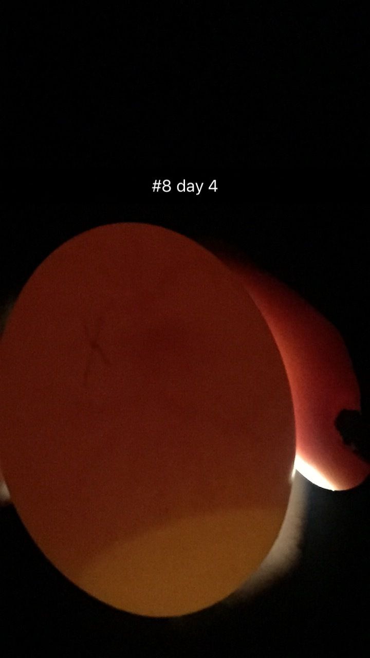 400