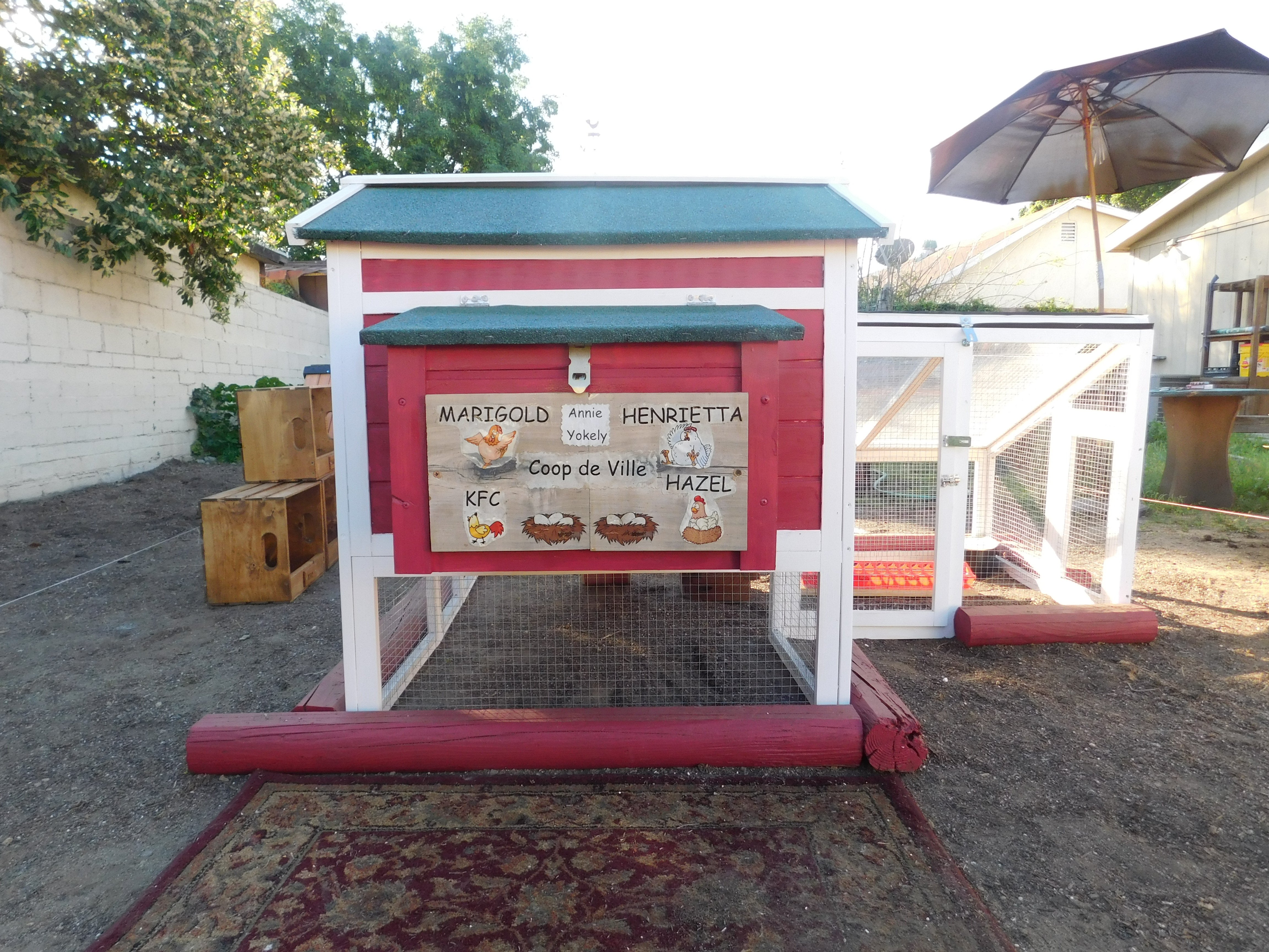 Chicken Coop Kfc