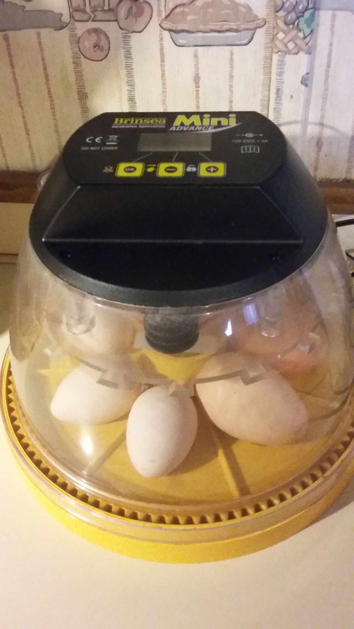 400
