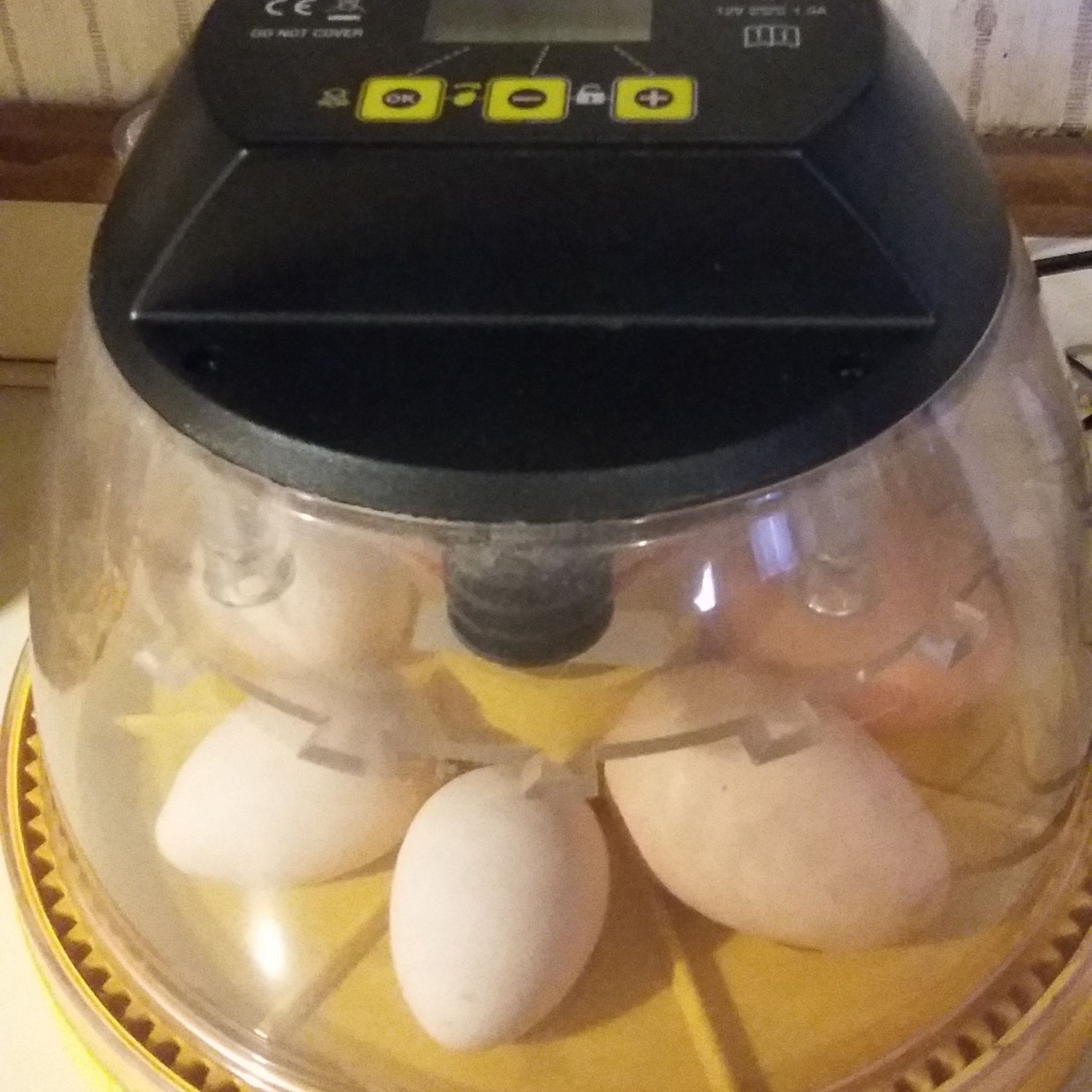 400