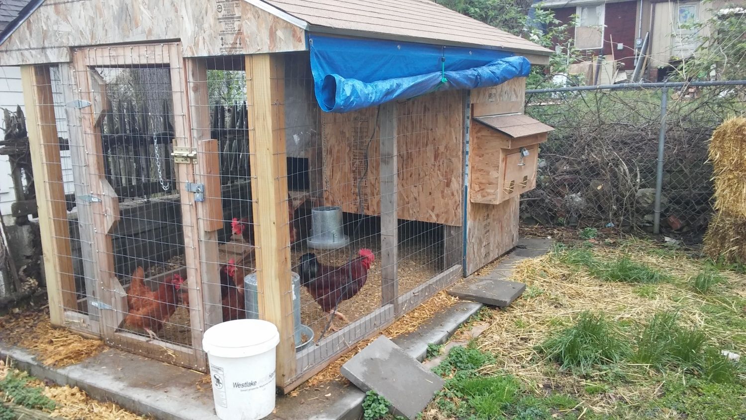How to make a rabbit hutch from a chicken coop? BackYard Chickens