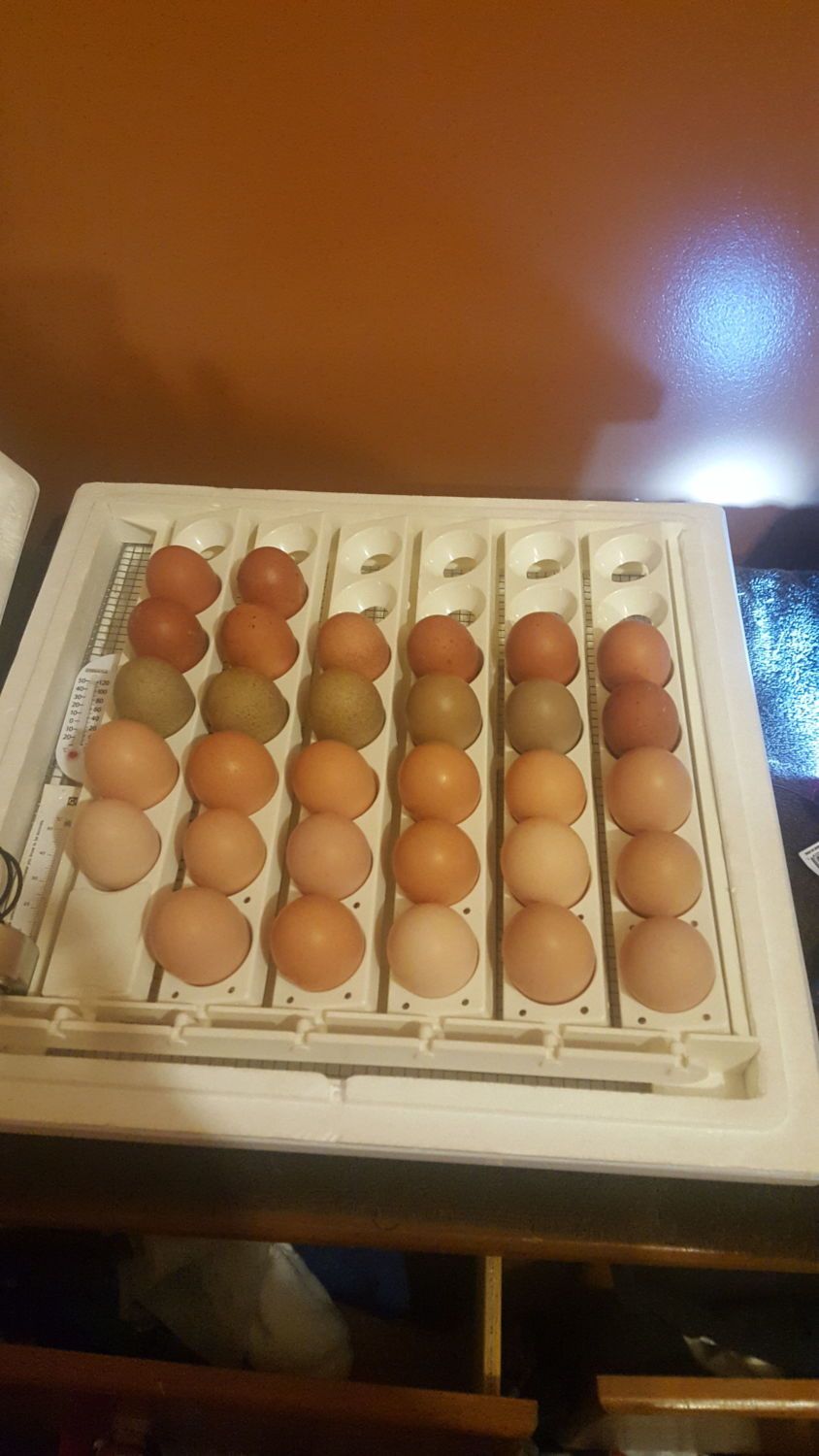 700