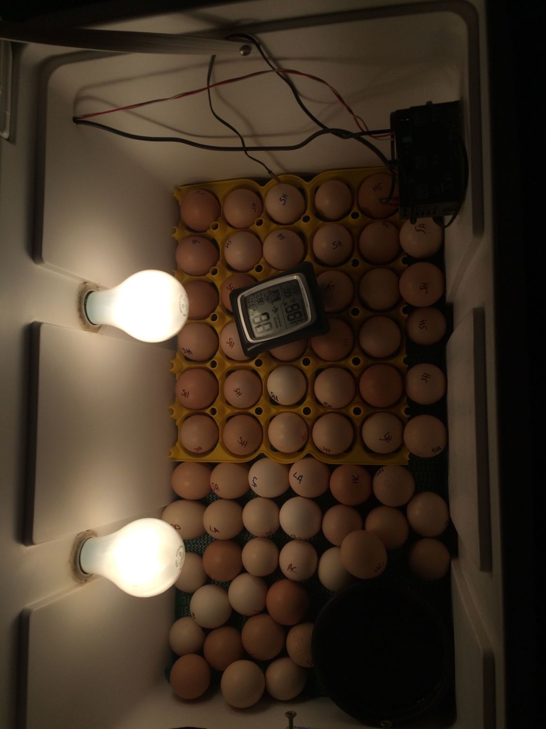 700