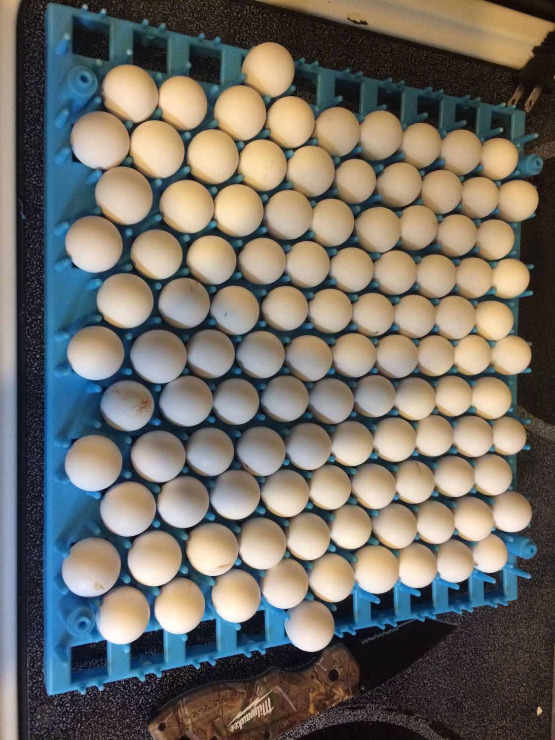 700