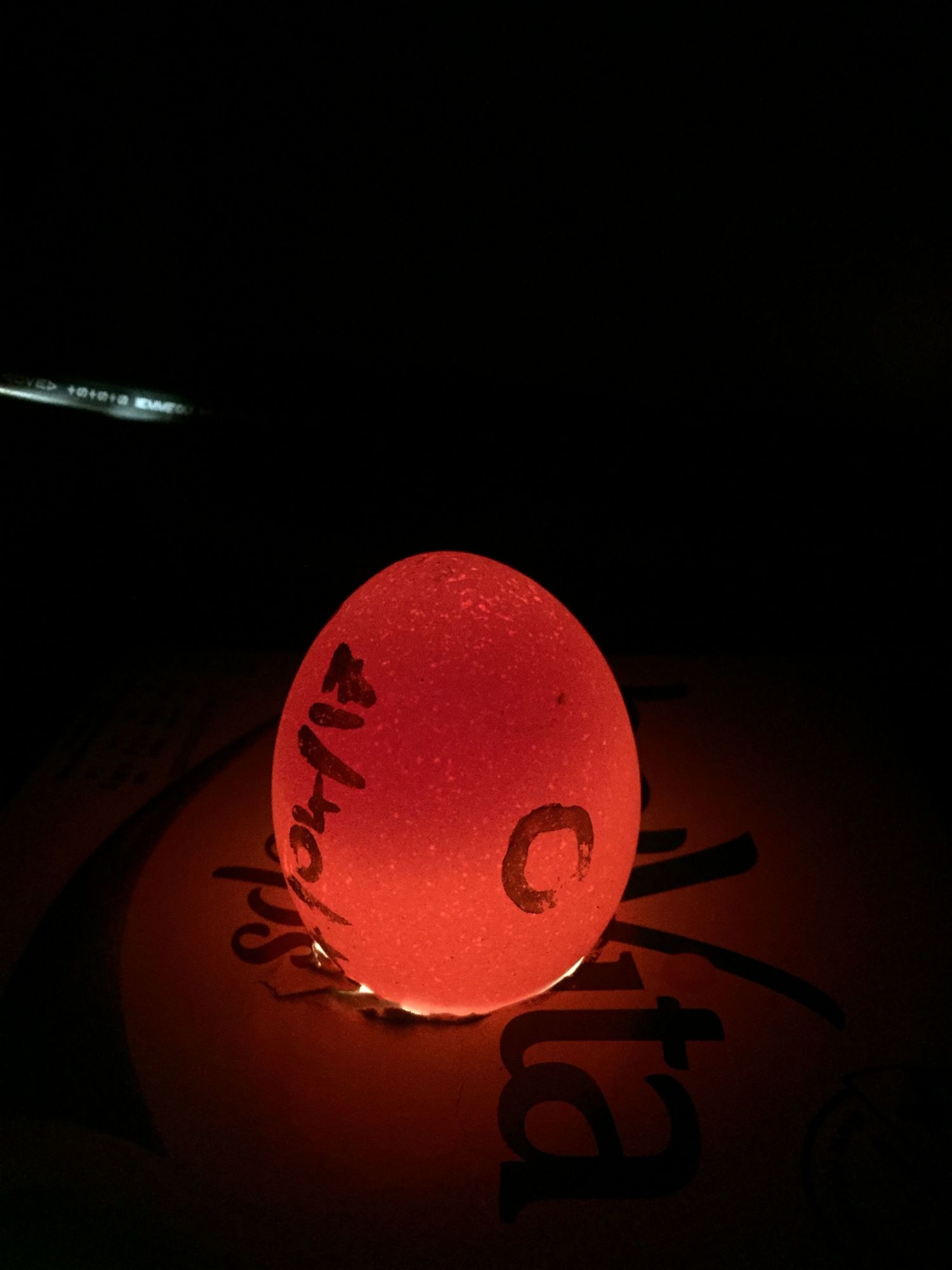 400