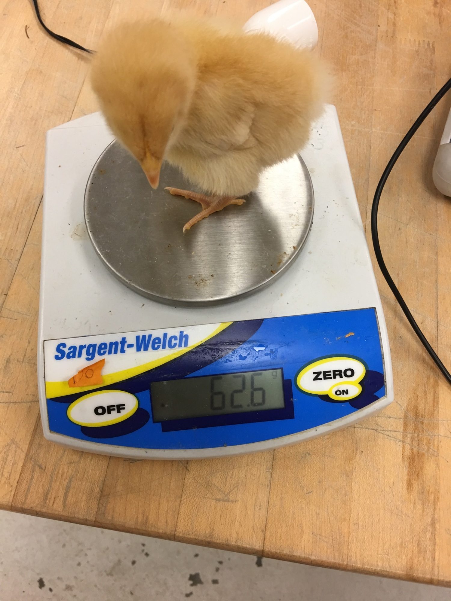 700