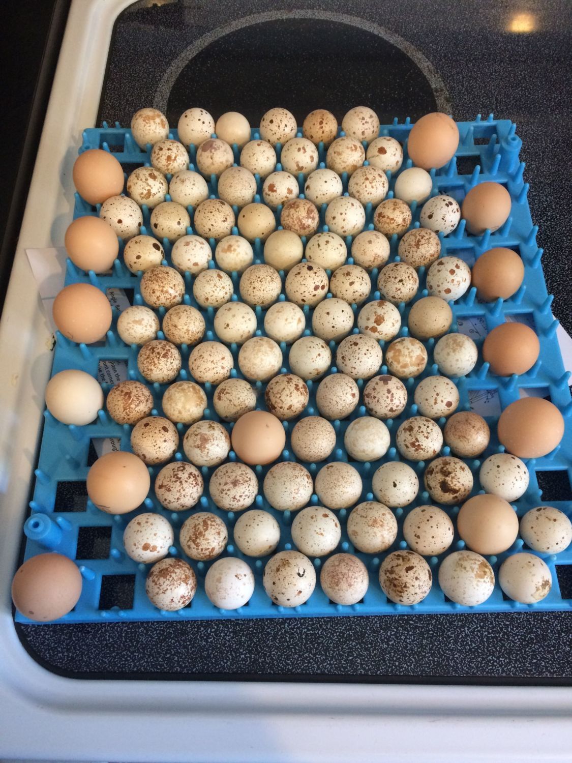 700